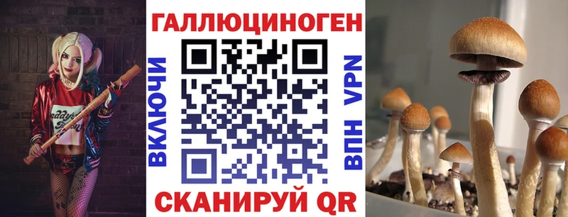 где купить наркоту  Котово  Галлюциногенные грибы прущие грибы 